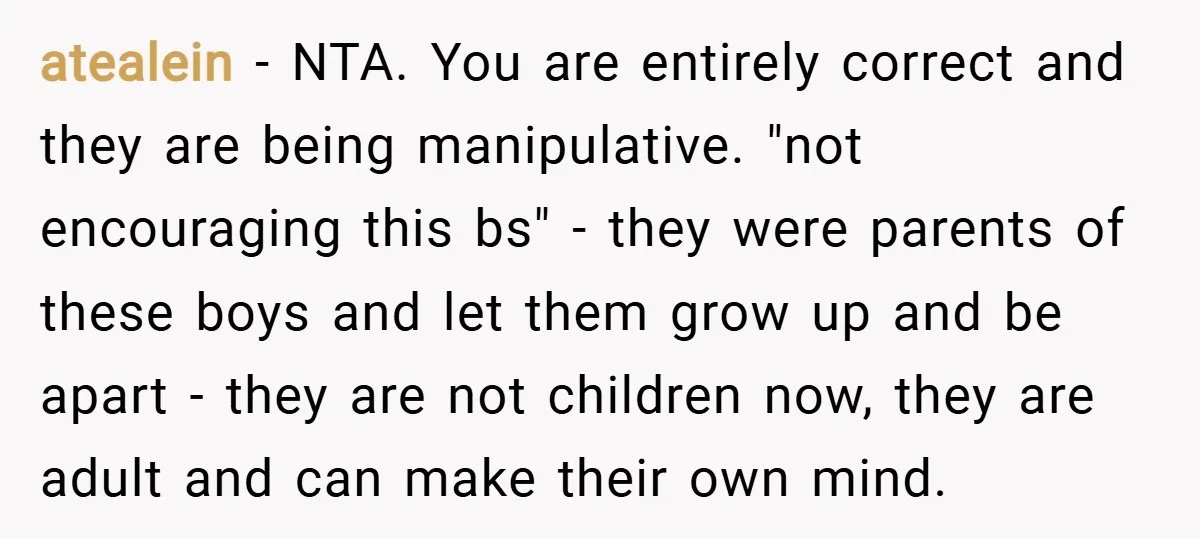 atealein − NTA. You are entirely correct and they are being manipulative. "not encouraging this bs" - they were parents of these boys and let them grow up and be...