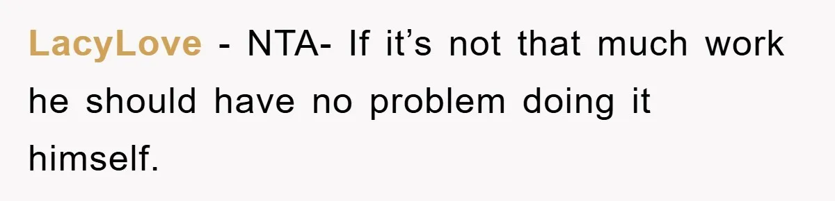 LacyLove − NTA- If it’s not that much work he should have no problem doing it himself.