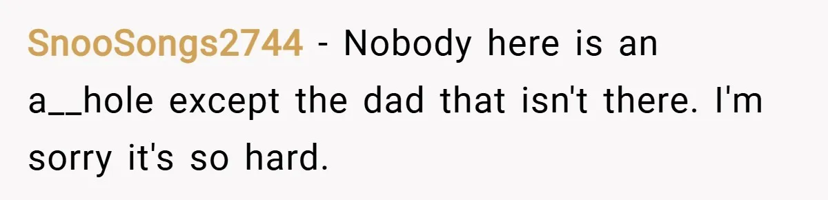 SnooSongs2744 − Nobody here is an a__hole except the dad that isn't there. I'm sorry it's so hard.