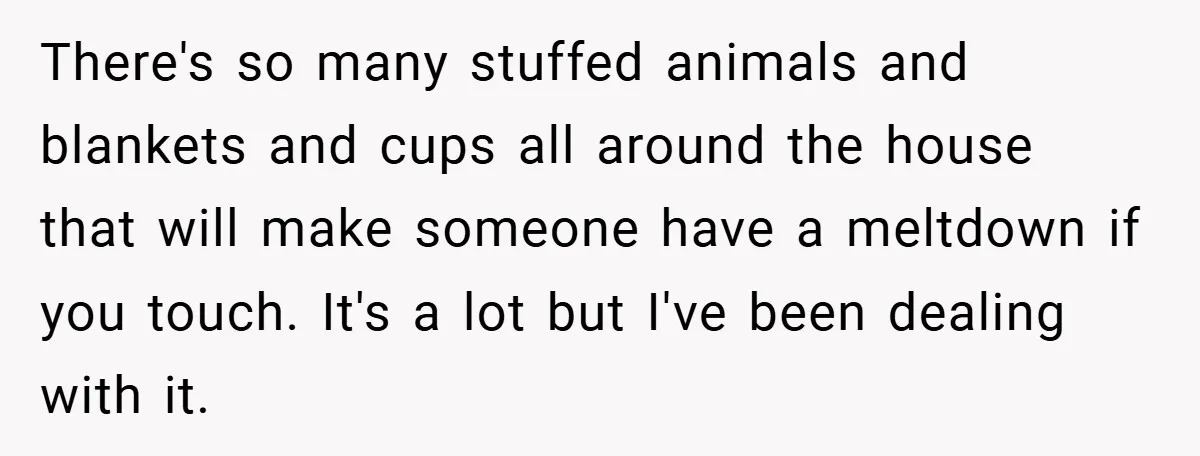 There's so many stuffed animals and blankets and cups all around the house that will make someone have a meltdown if you touch. It's a lot but I've been dealing...