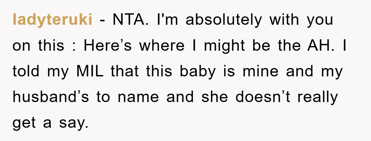 ladyteruki − NTA. I'm absolutely with you on this : Here’s where I might be the AH. I told my MIL that this baby is mine and my husband’s to...