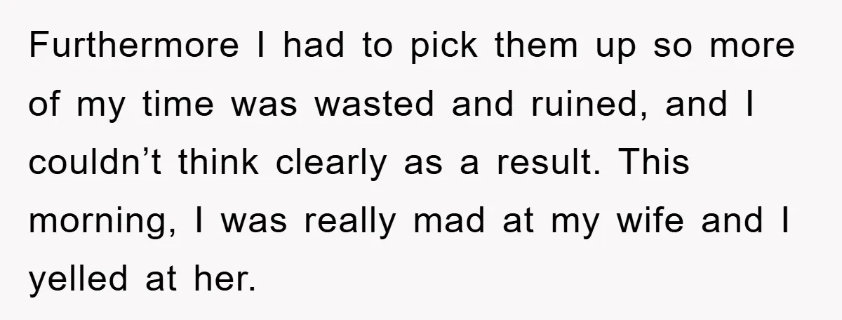 Furthermore I had to pick them up so more of my time was wasted and ruined, and I couldn’t think clearly as a result. This morning, I was really mad...