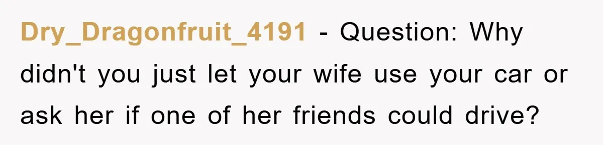 Dry_Dragonfruit_4191 − Question: Why didn't you just let your wife use your car or ask her if one of her friends could drive?