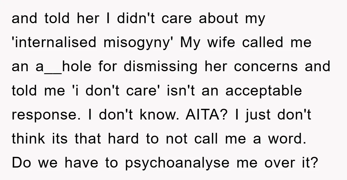 and told her I didn't care about my 'internalised misogyny' My wife called me an a__hole for dismissing her concerns and told me 'i don't care' isn't an acceptable response....