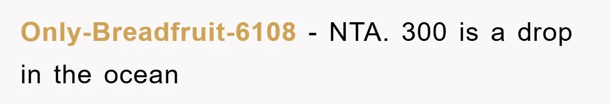 Only-Breadfruit-6108 − NTA. 300 is a drop in the ocean