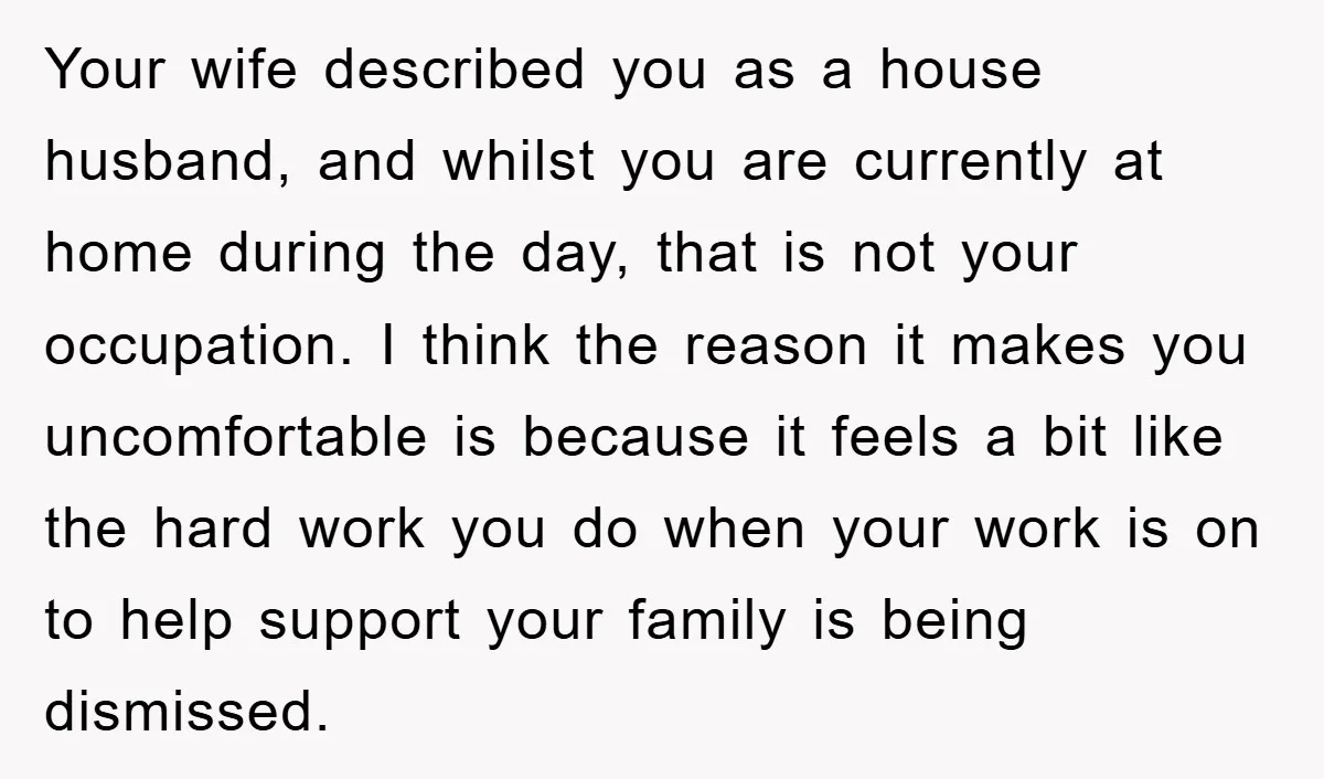 Your wife described you as a house husband, and whilst you are currently at home during the day, that is not your occupation. I think the reason it makes you...