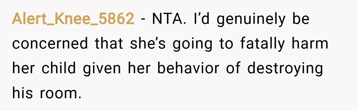 Alert_Knee_5862 − NTA. I’d genuinely be concerned that she’s going to fatally harm her child given her behavior of destroying his room.