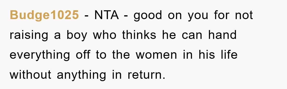 Budge1025 − NTA - good on you for not raising a boy who thinks he can hand everything off to the women in his life without anything in return.