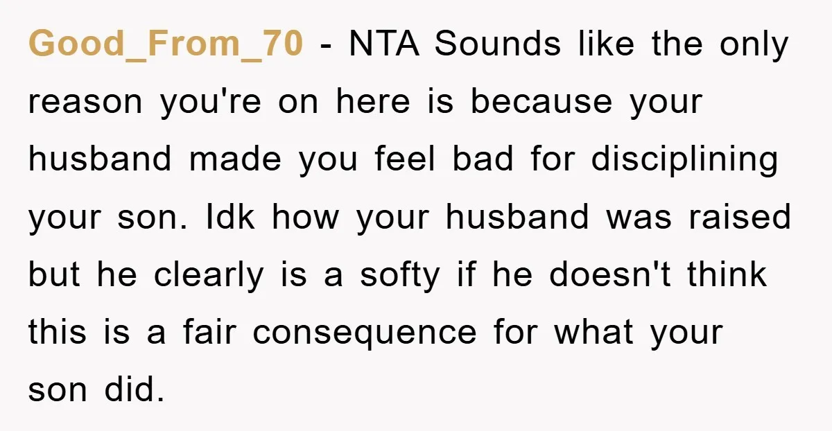 Good_From_70 − NTA Sounds like the only reason you're on here is because your husband made you feel bad for disciplining your son. Idk how your husband was raised but...