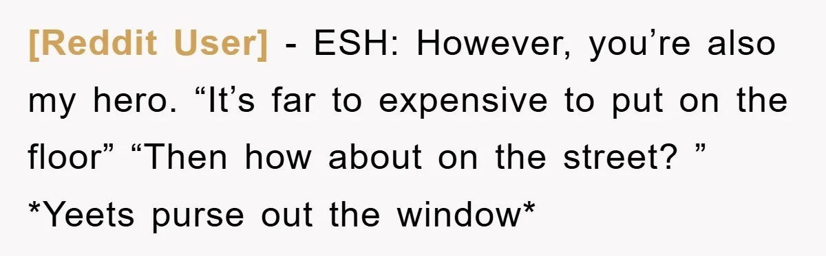 [Reddit User] − ESH: However, you’re also my hero. “It’s far to expensive to put on the floor” “Then how about on the street? ” *Yeets purse out the window*