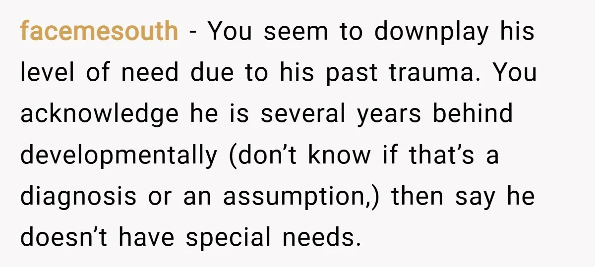 facemesouth − You seem to downplay his level of need due to his past trauma. You acknowledge he is several years behind developmentally (don’t know if that’s a diagnosis or...