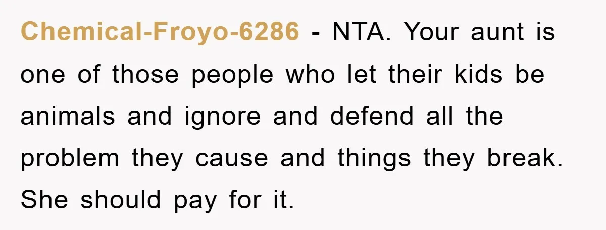 Chemical-Froyo-6286 − NTA. Your aunt is one of those people who let their kids be animals and ignore and defend all the problem they cause and things they break. She...