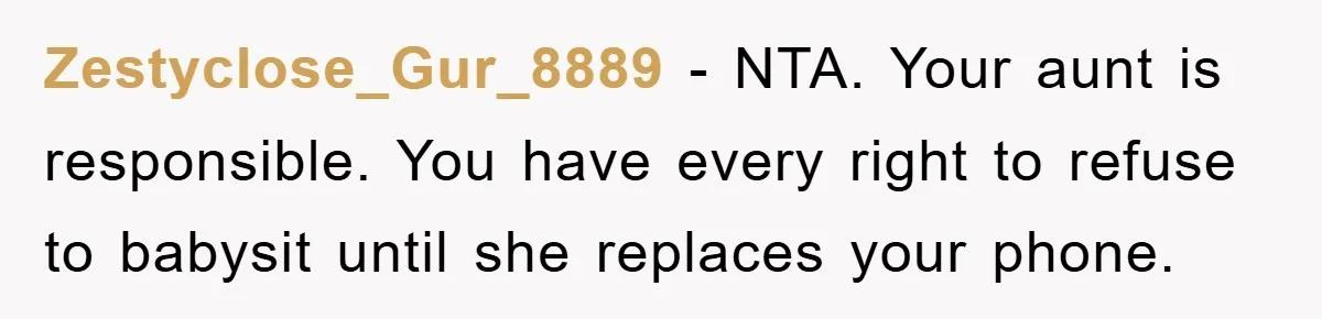 Zestyclose_Gur_8889 − NTA. Your aunt is responsible. You have every right to refuse to babysit until she replaces your phone.