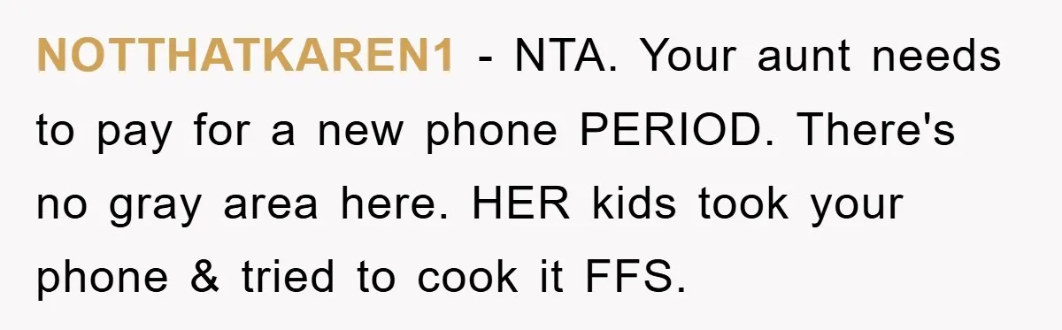NOTTHATKAREN1 − NTA. Your aunt needs to pay for a new phone PERIOD. There's no gray area here. HER kids took your phone & tried to cook it FFS.