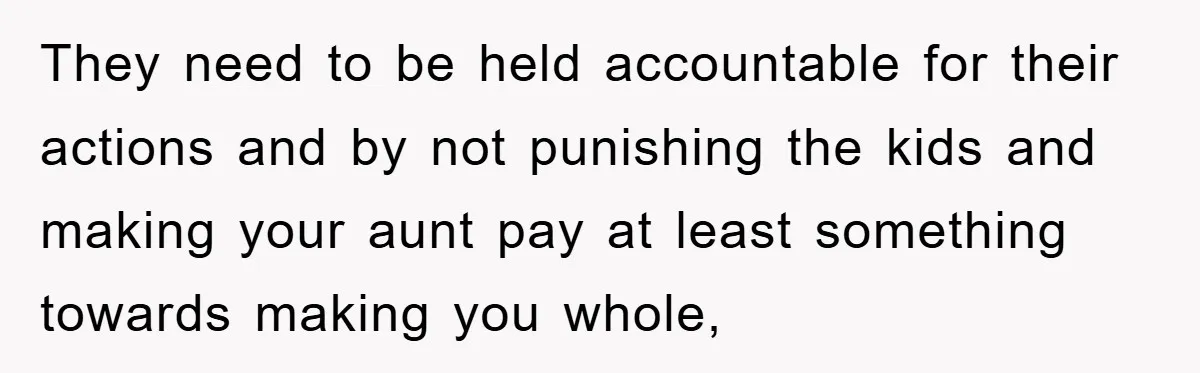 They need to be held accountable for their actions and by not punishing the kids and making your aunt pay at least something towards making you whole,