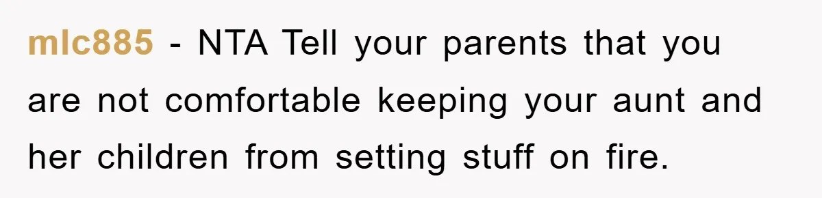mlc885 − NTA Tell your parents that you are not comfortable keeping your aunt and her children from setting stuff on fire.
