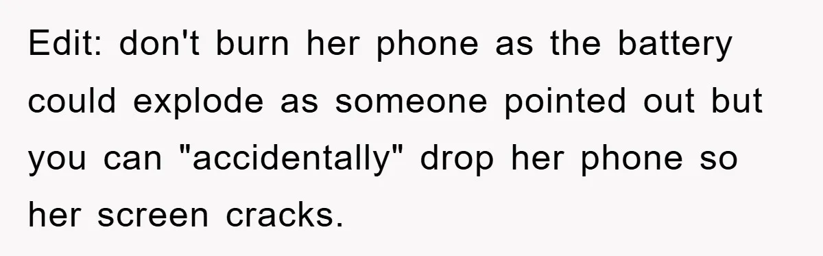 Edit: don't burn her phone as the battery could explode as someone pointed out but you can "accidentally" drop her phone so her screen cracks.