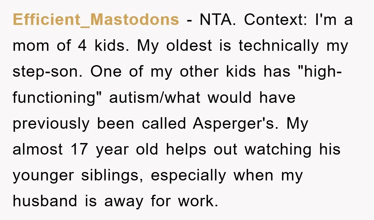 Efficient_Mastodons − NTA. Context: I'm a mom of 4 kids. My oldest is technically my step-son. One of my other kids has "high-functioning" autism/what would have previously been called Asperger's....