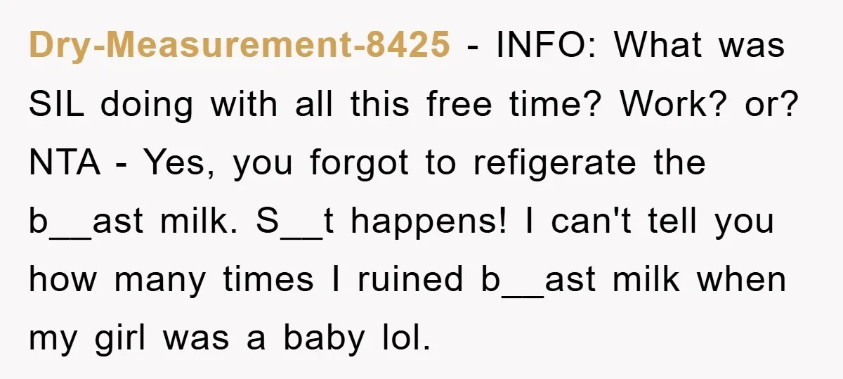 Dry-Measurement-8425 − INFO: What was SIL doing with all this free time? Work? or? NTA - Yes, you forgot to refigerate the b__ast milk. S__t happens! I can't tell you...
