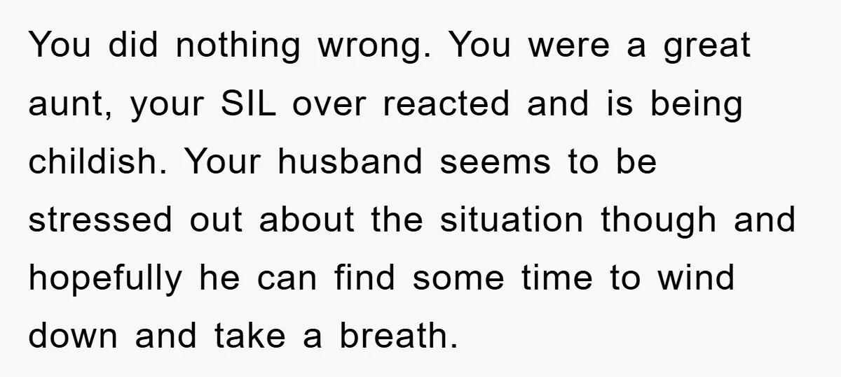 You did nothing wrong. You were a great aunt, your SIL over reacted and is being childish. Your husband seems to be stressed out about the situation though and hopefully...
