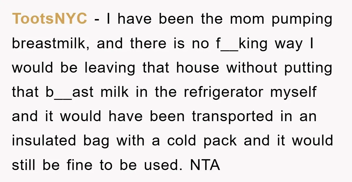 TootsNYC − I have been the mom pumping breastmilk, and there is no f__king way I would be leaving that house without putting that b__ast milk in the refrigerator myself...