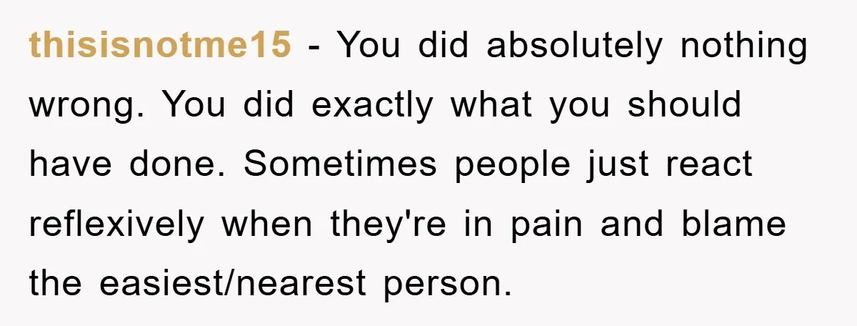 thisisnotme15 − You did absolutely nothing wrong. You did exactly what you should have done. Sometimes people just react reflexively when they're in pain and blame the easiest/nearest person.