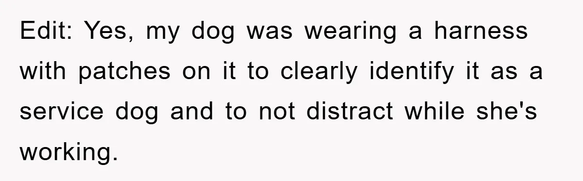 Edit: Yes, my dog was wearing a harness with patches on it to clearly identify it as a service dog and to not distract while she's working.