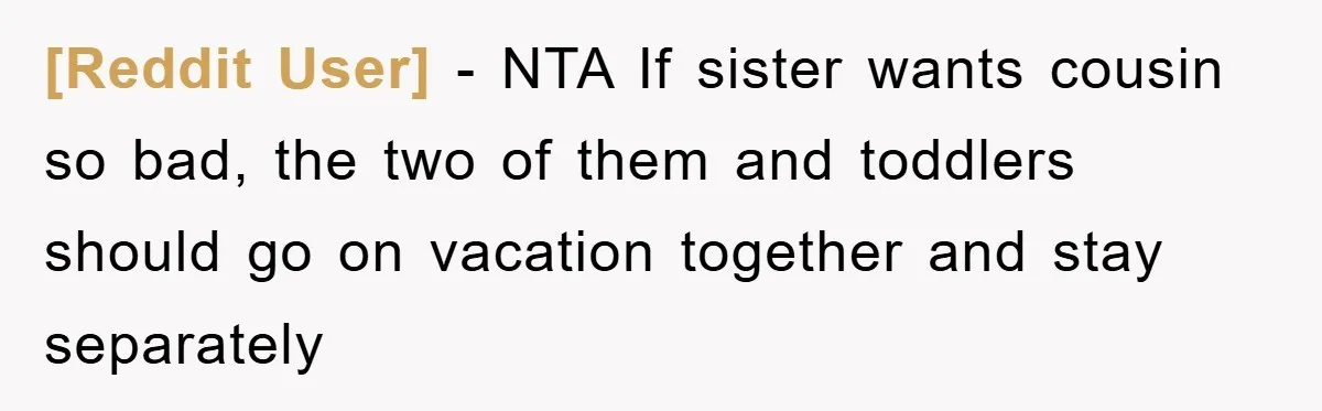 [Reddit User] − NTA If sister wants cousin so bad, the two of them and toddlers should go on vacation together and stay separately