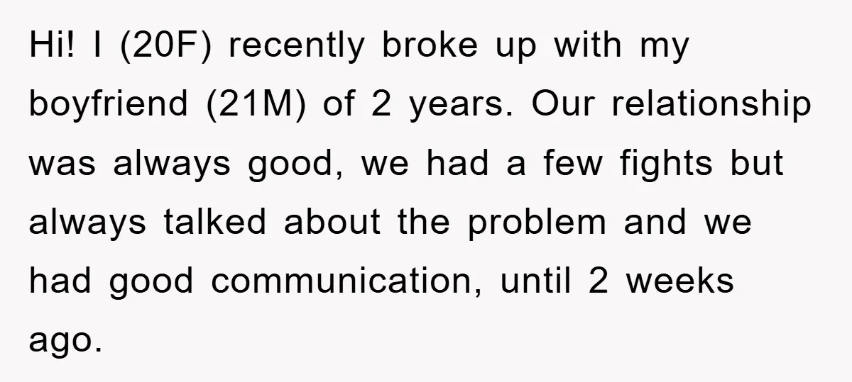 Hi! I (20F) recently broke up with my boyfriend (21M) of 2 years. Our relationship was always good, we had a few fights but always talked about the problem and...