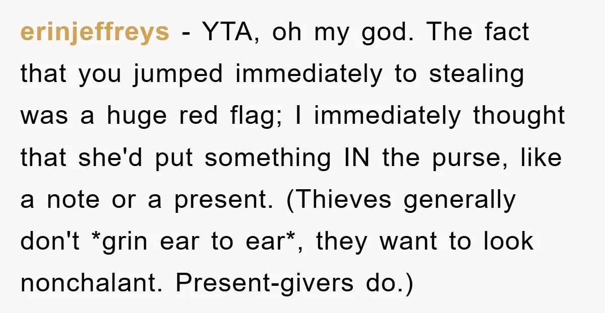 erinjeffreys − YTA, oh my god. The fact that you jumped immediately to stealing was a huge red flag; I immediately thought that she'd put something IN the purse, like...
