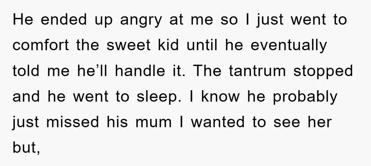 He ended up angry at me so I just went to comfort the sweet kid until he eventually told me he’ll handle it. The tantrum stopped and he went to...