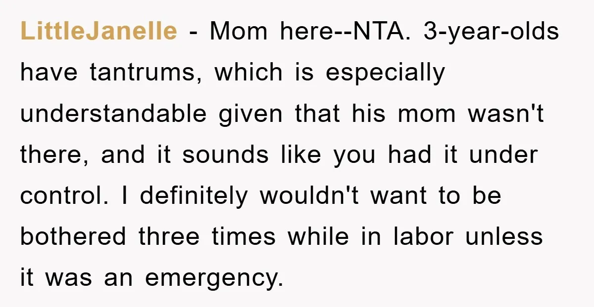 LittleJanelle − Mom here--NTA. 3-year-olds have tantrums, which is especially understandable given that his mom wasn't there, and it sounds like you had it under control. I definitely wouldn't want...