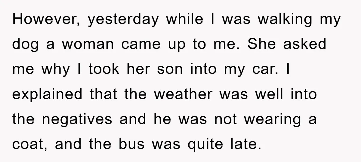 However, yesterday while I was walking my dog a woman came up to me. She asked me why I took her son into my car. I explained that the weather...