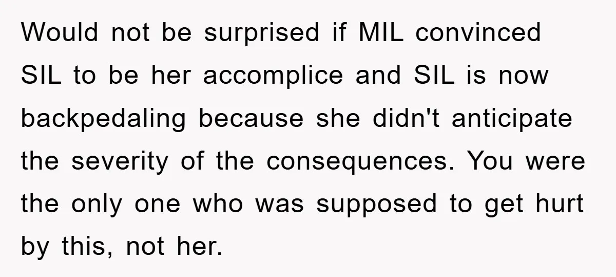 Would not be surprised if MIL convinced SIL to be her accomplice and SIL is now backpedaling because she didn't anticipate the severity of the consequences. You were the only...