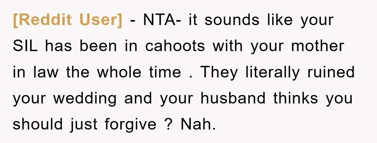 [Reddit User] − NTA- it sounds like your SIL has been in cahoots with your mother in law the whole time . They literally ruined your wedding and your husband...