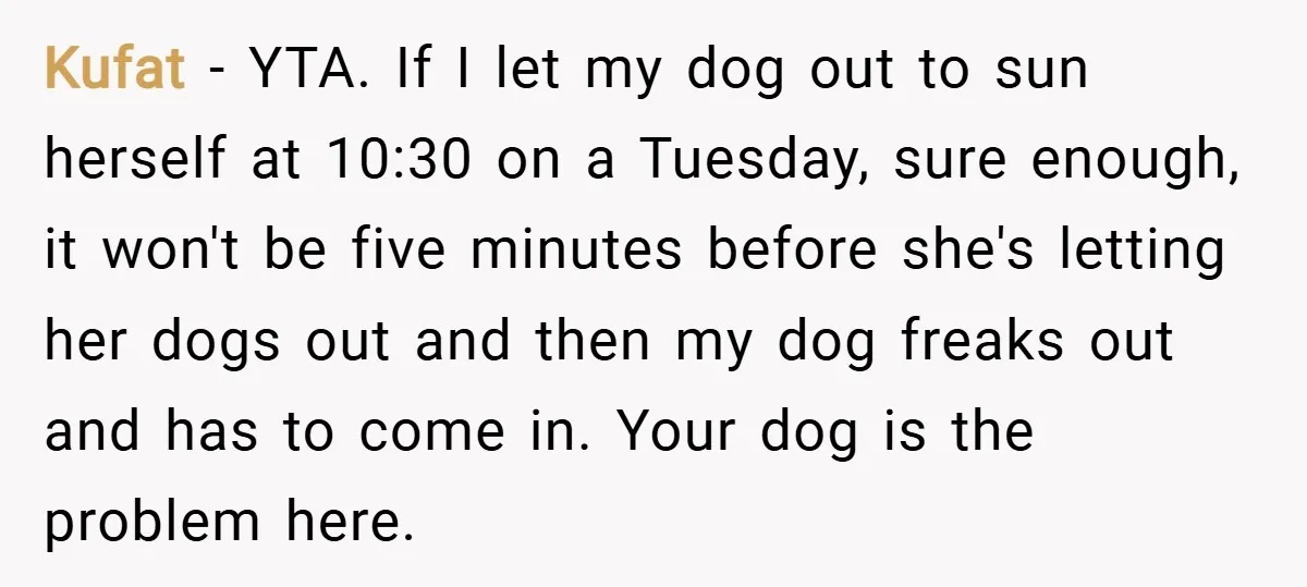 Kufat − YTA. If I let my dog out to sun herself at 10:30 on a Tuesday, sure enough, it won't be five minutes before she's letting her dogs out...