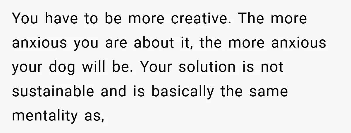 You have to be more creative. The more anxious you are about it, the more anxious your dog will be. Your solution is not sustainable and is basically the same...