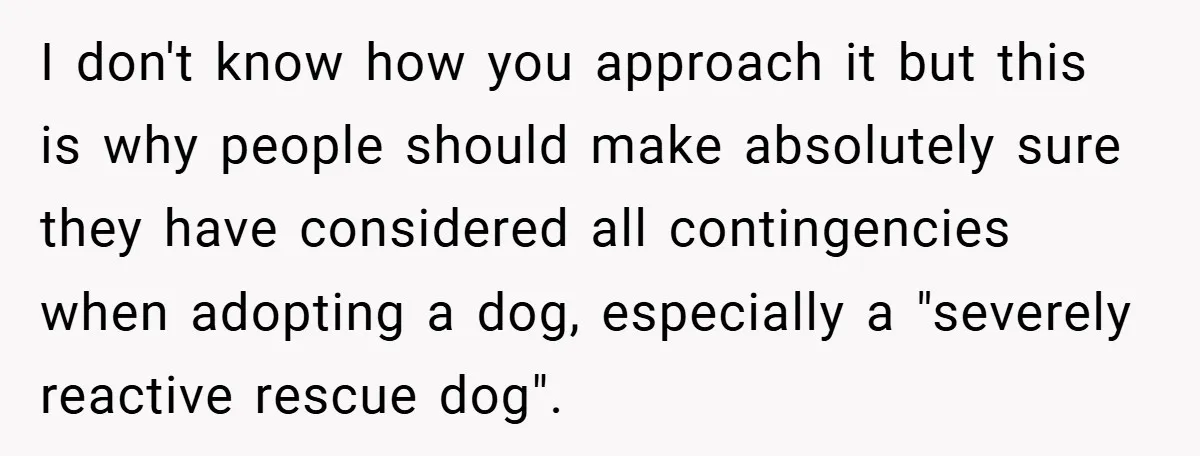 I don't know how you approach it but this is why people should make absolutely sure they have considered all contingencies when adopting a dog, especially a "severely reactive rescue...