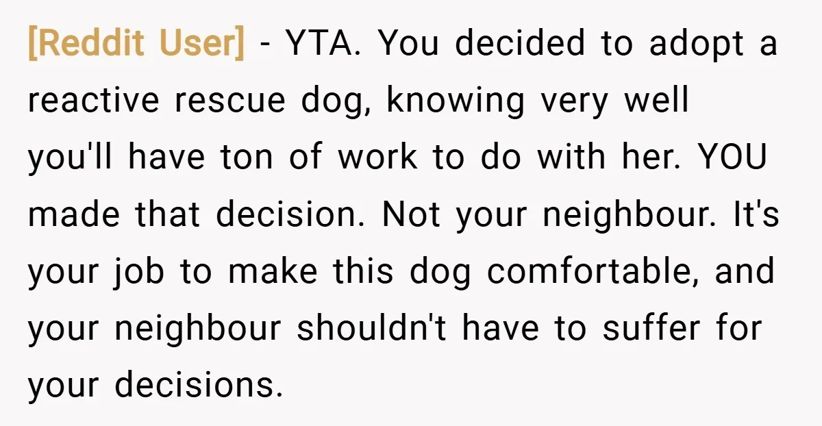 [Reddit User] − YTA. You decided to adopt a reactive rescue dog, knowing very well you'll have ton of work to do with her. YOU made that decision. Not your...