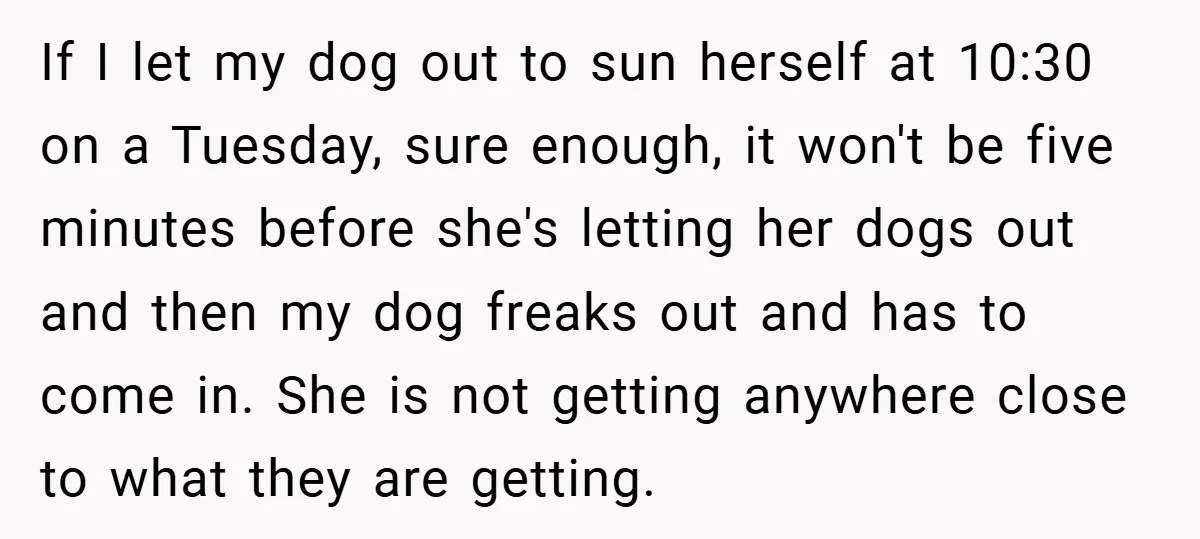 If I let my dog out to sun herself at 10:30 on a Tuesday, sure enough, it won't be five minutes before she's letting her dogs out and then my...