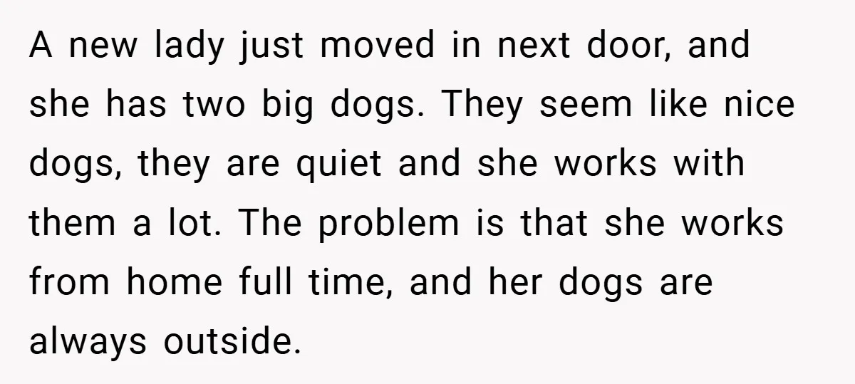 A new lady just moved in next door, and she has two big dogs. They seem like nice dogs, they are quiet and she works with them a lot. The...