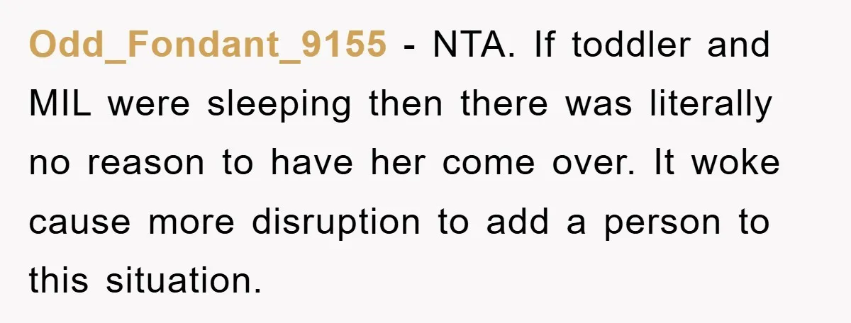 Odd_Fondant_9155 − NTA. If toddler and MIL were sleeping then there was literally no reason to have her come over. It woke cause more disruption to add a person to...