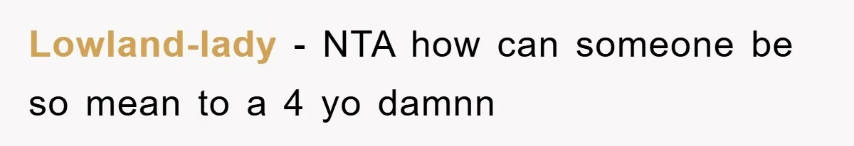 Lowland-lady − NTA how can someone be so mean to a 4 yo damnn