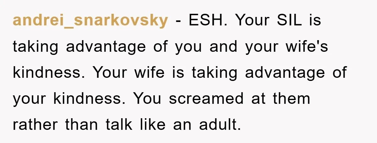 andrei_snarkovsky − ESH. Your SIL is taking advantage of you and your wife's kindness. Your wife is taking advantage of your kindness. You screamed at them rather than talk like...