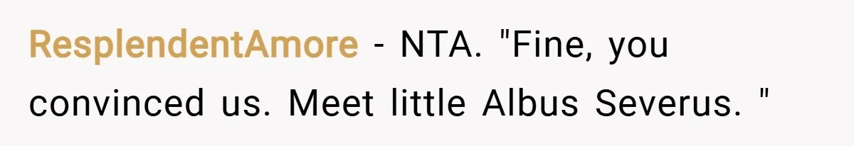ResplendentAmore − NTA. "Fine, you convinced us. Meet little Albus Severus. "