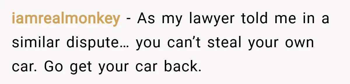 iamrealmonkey − As my lawyer told me in a similar dispute… you can’t steal your own car. Go get your car back.