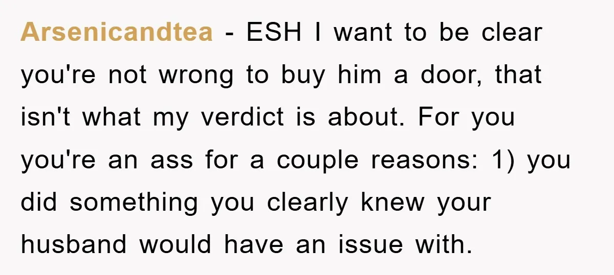 Arsenicandtea − ESH I want to be clear you're not wrong to buy him a door, that isn't what my verdict is about. For you you're an ass for a...