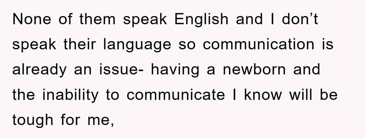 None of them speak English and I don’t speak their language so communication is already an issue- having a newborn and the inability to communicate I know will be tough...