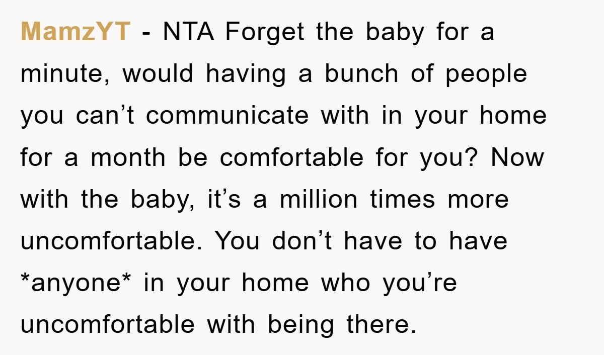 MamzYT − NTA Forget the baby for a minute, would having a bunch of people you can’t communicate with in your home for a month be comfortable for you? Now...