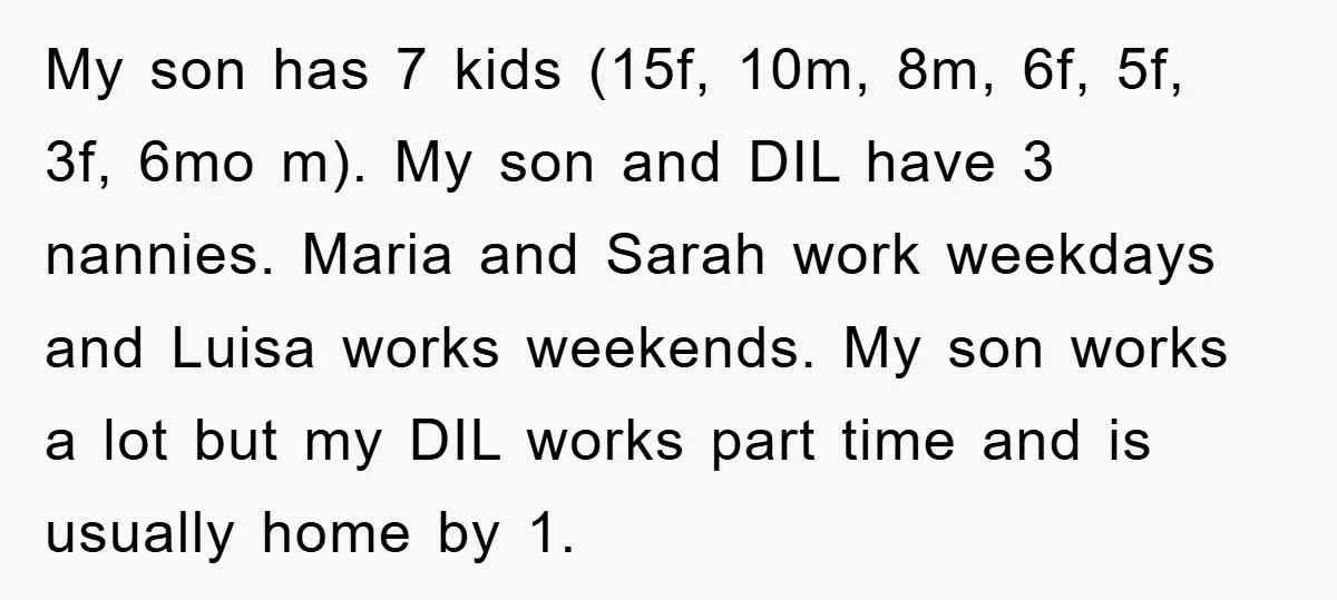 My son has 7 kids (15f, 10m, 8m, 6f, 5f, 3f, 6mo m). My son and DIL have 3 nannies. Maria and Sarah work weekdays and Luisa works weekends. My...